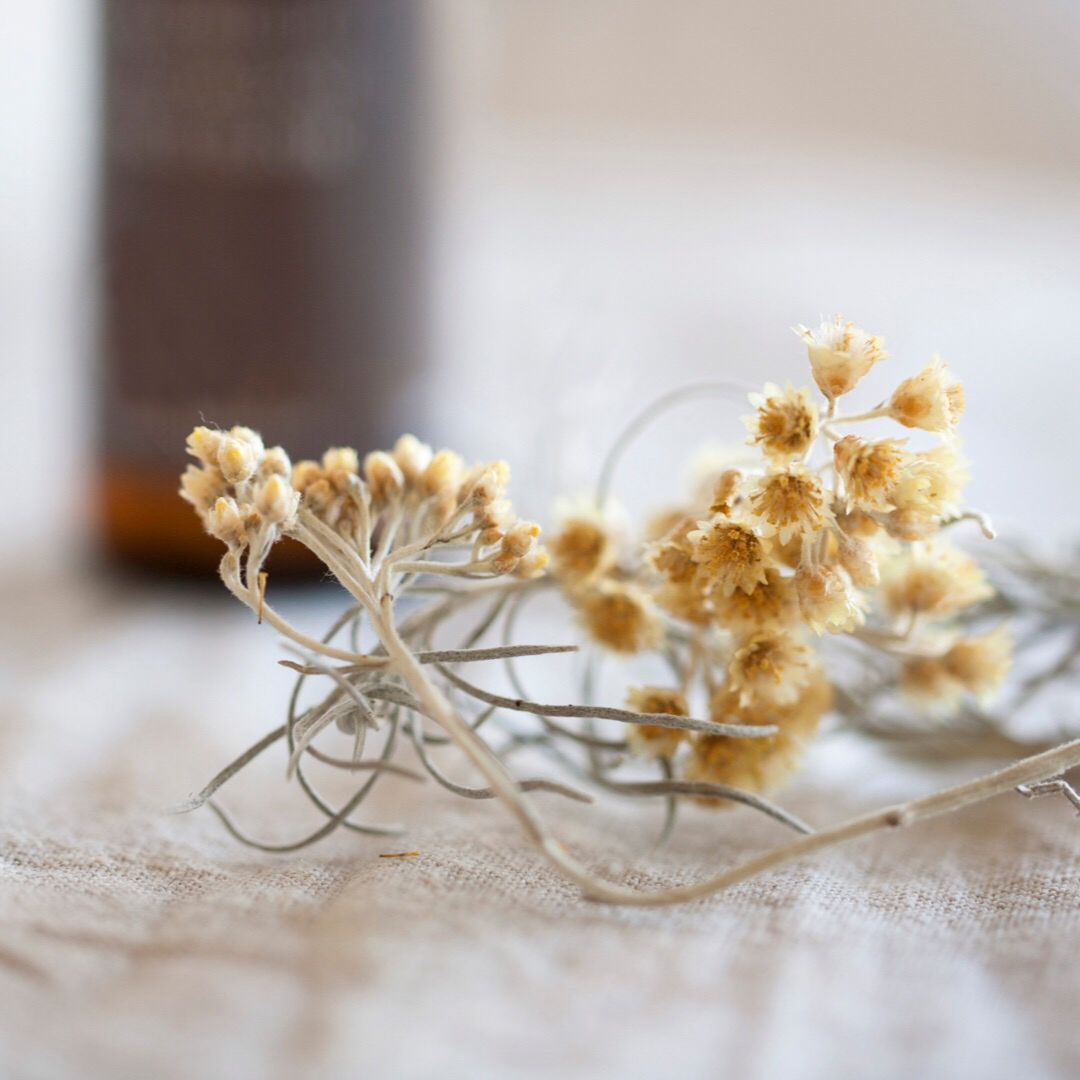 Immortelle oil - Poetica Natural Beauty
