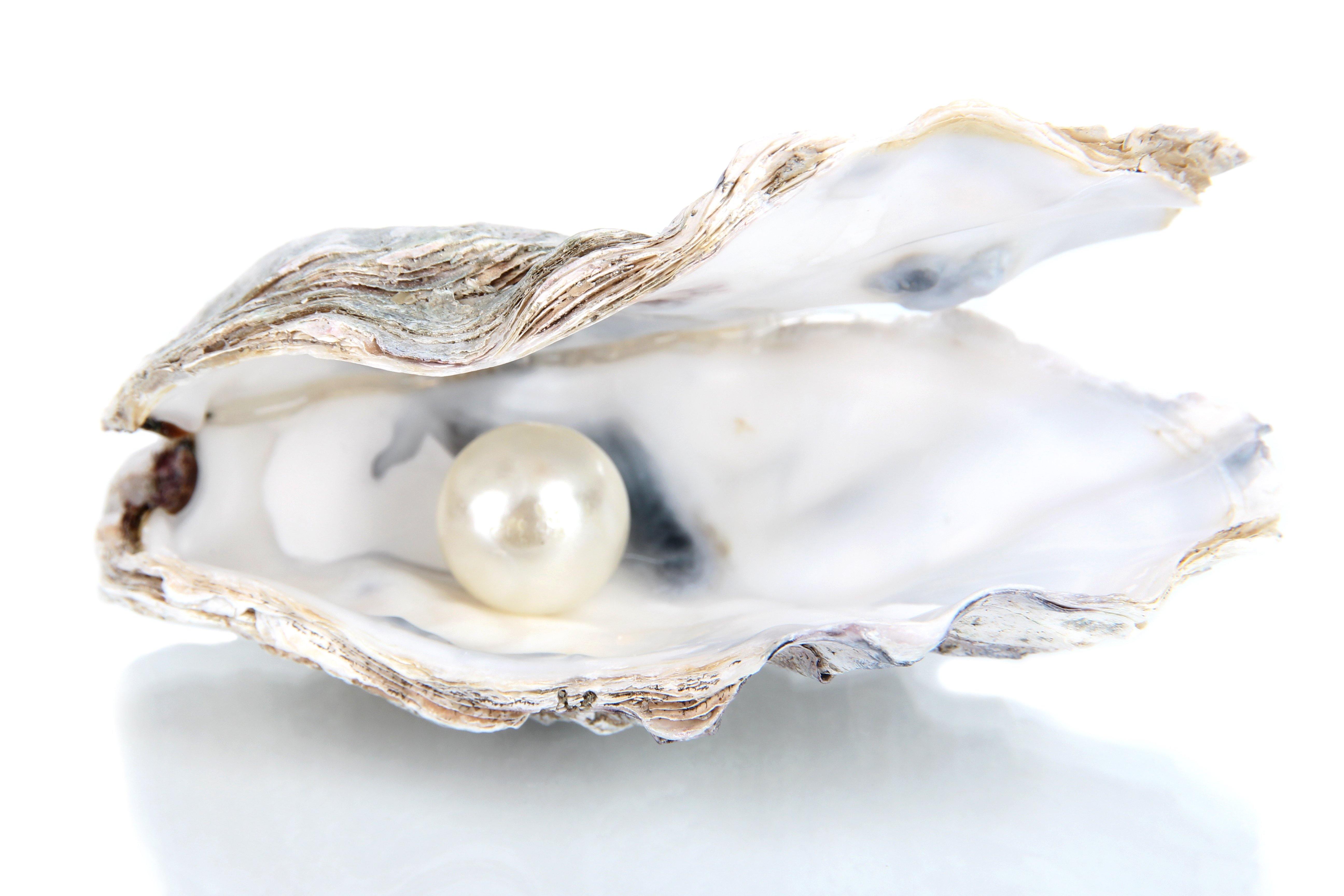 Pearl Powder - Poetica Natural Beauty
