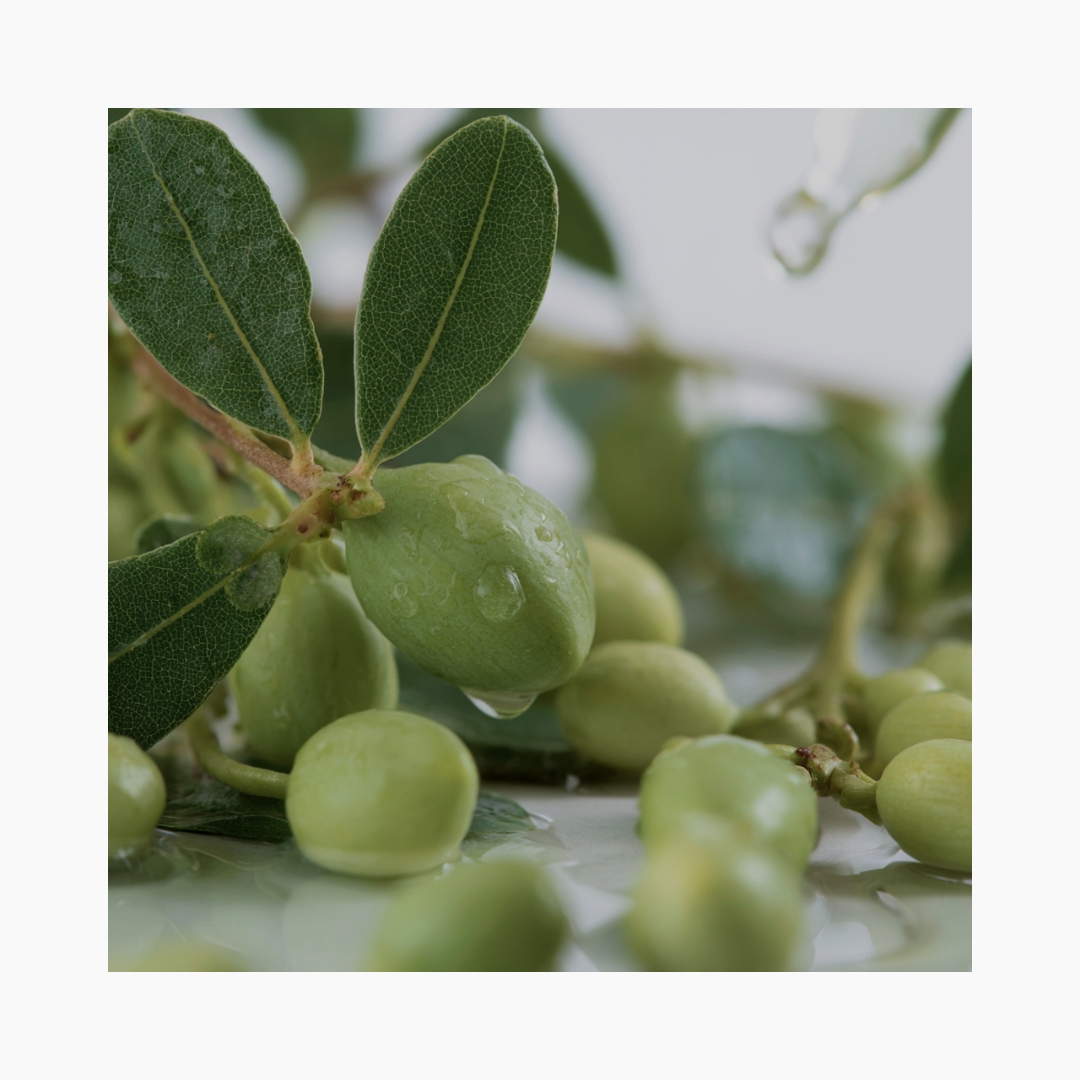Kakadu Plum - Concentrated Antioxidant Energy